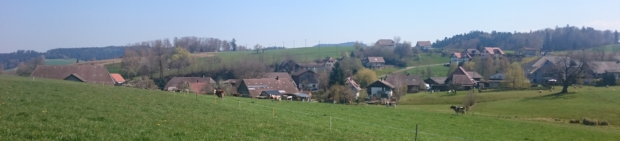 Hof Leuenberger