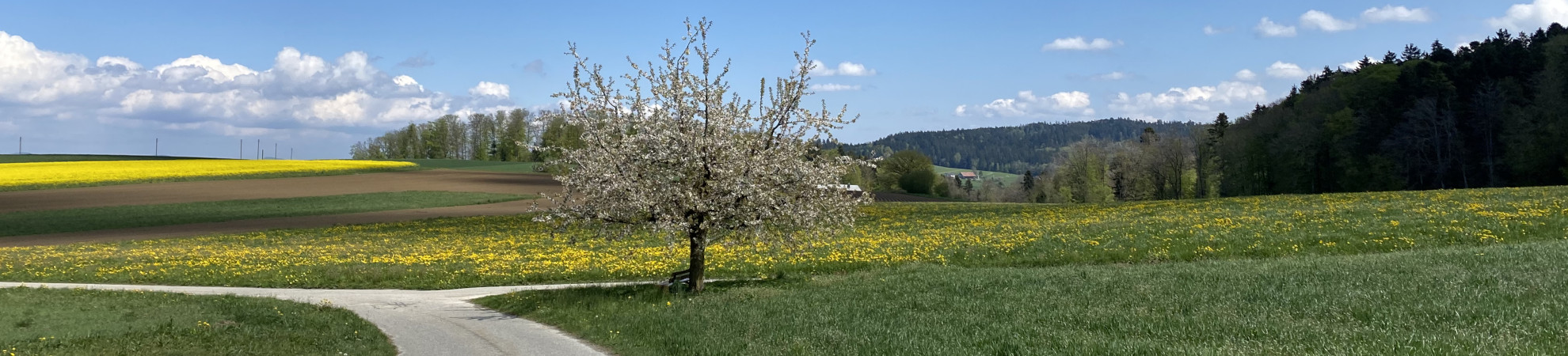 Kreuzung Richtung Leebach