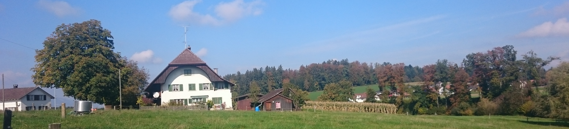 Bleienbachstrasse