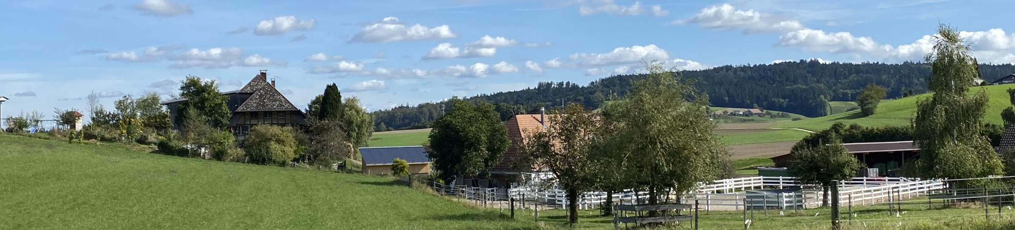 Lindenacker
