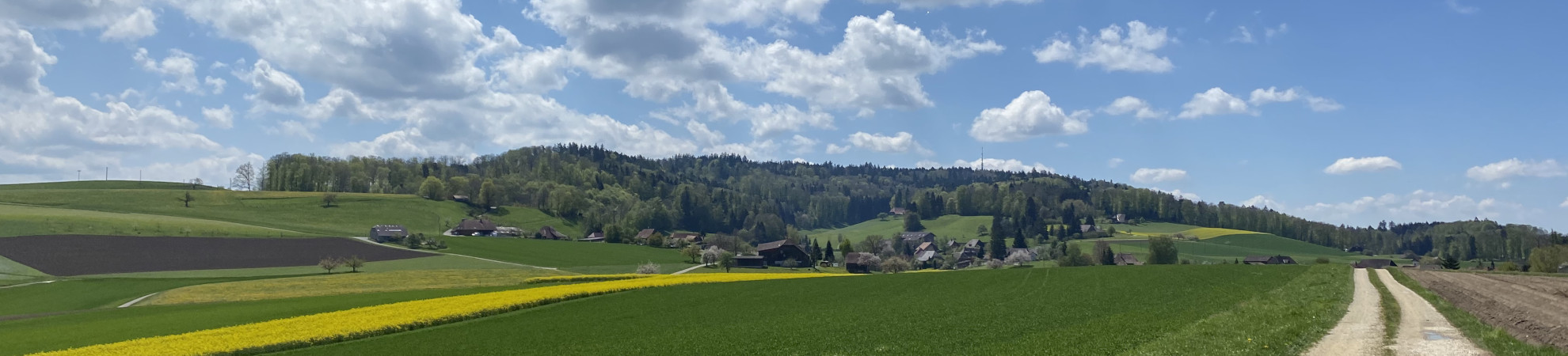 Spiegelberg