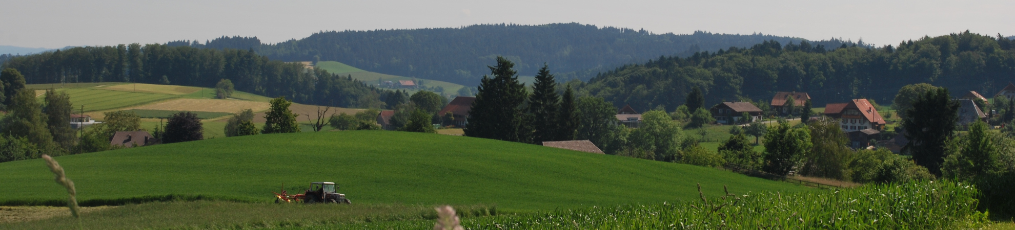 Bei der Arbeit auf dem Feld